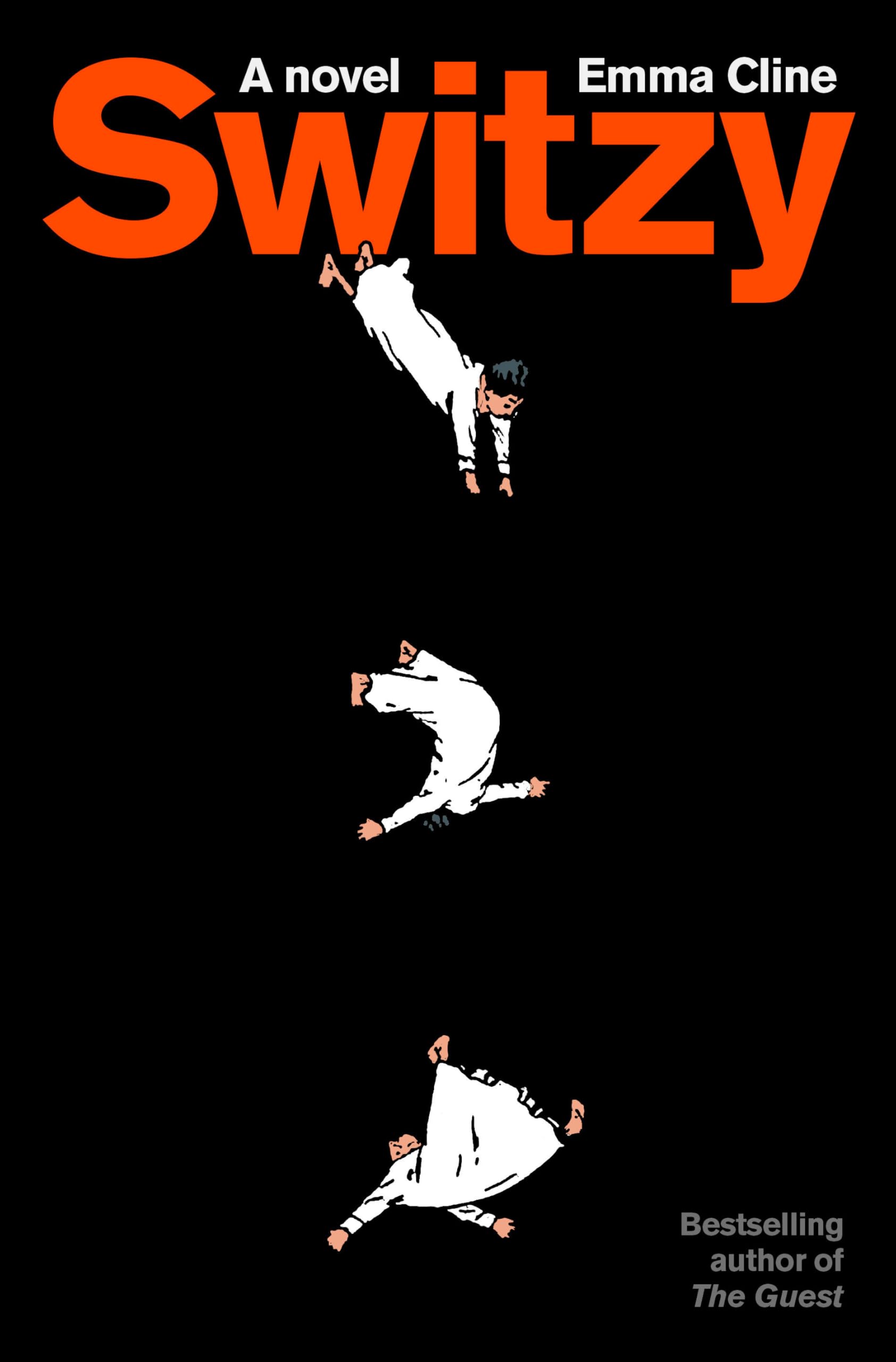 Switzy book cover