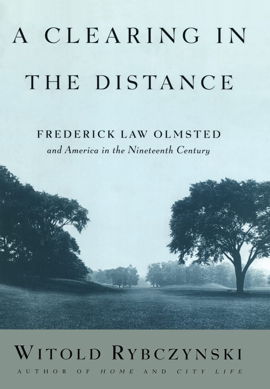 Clearing in the Distance: Frederick Law Olmsted and America in the Nineteenth Century book cover