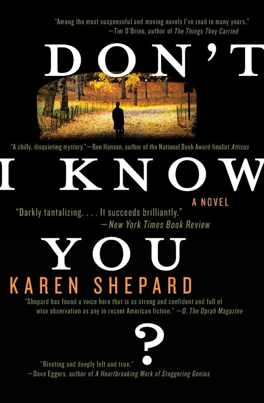 Don't I Know You? book cover