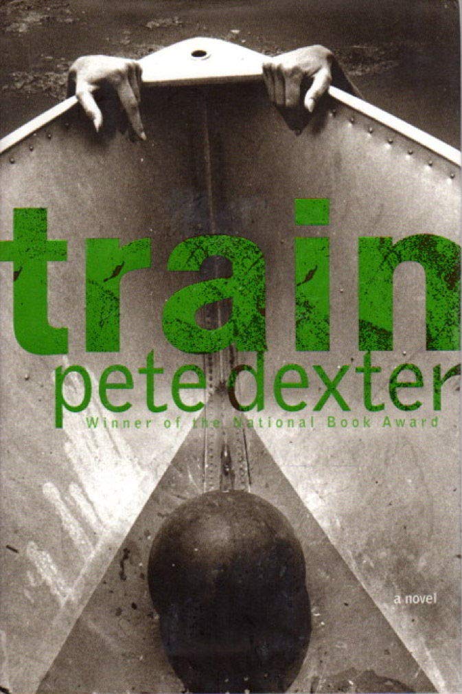 Train book cover
