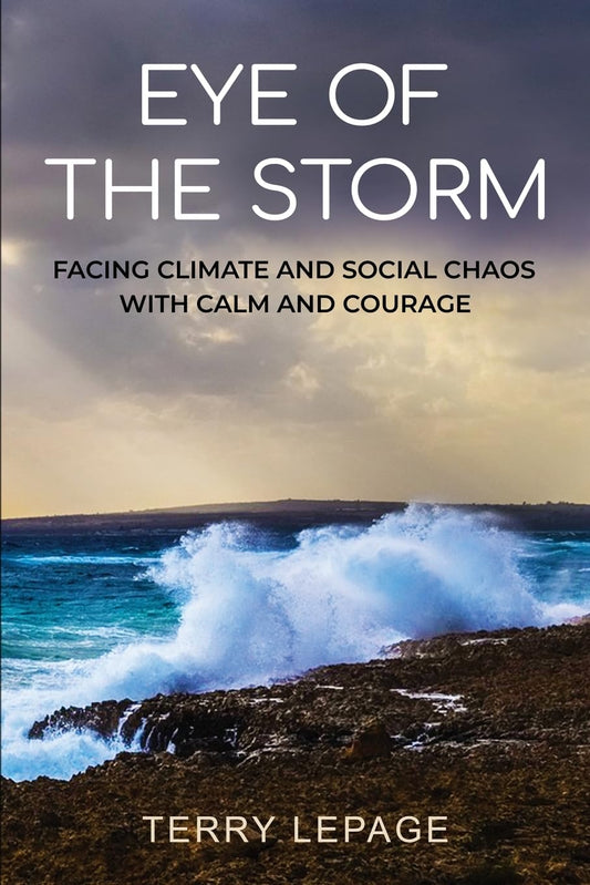 Eye of the Storm: Facing climate and social chaos with calm and courage book cover