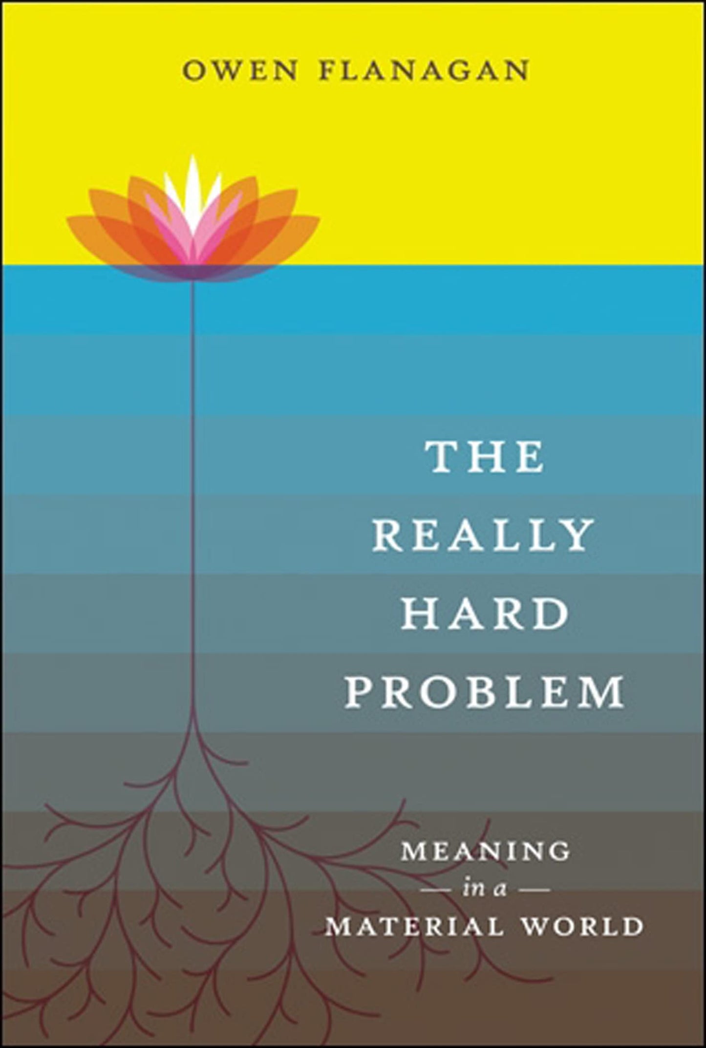 Really Hard Problem: Meaning in a Material World