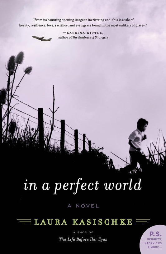 In a Perfect World book cover