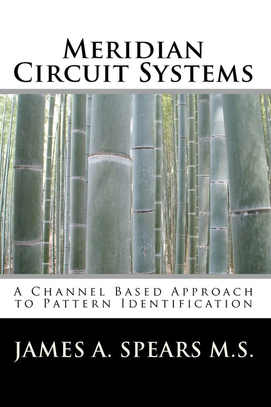 Meridian Circuit Systems: A Channel Based Approach to Pattern Identification