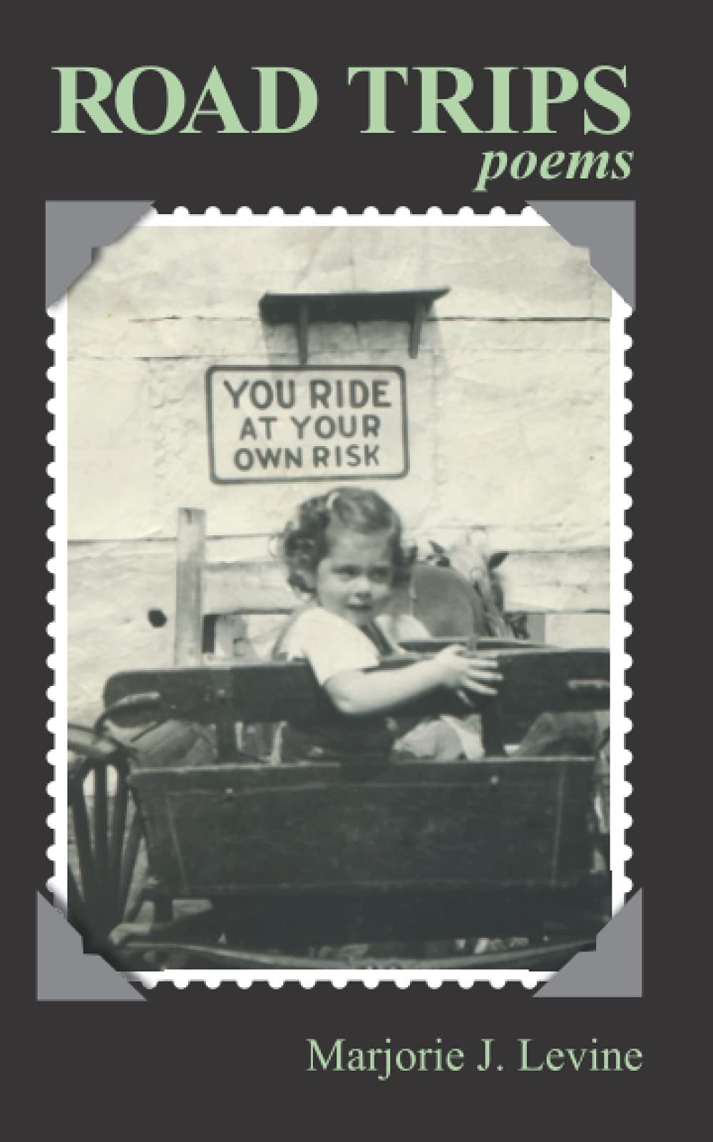 Road Trips book cover