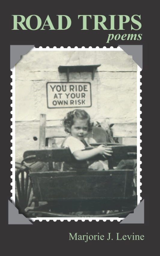 Road Trips book cover