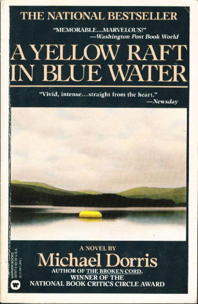 Yellow Raft in Blue Water (Warner Books) book cover