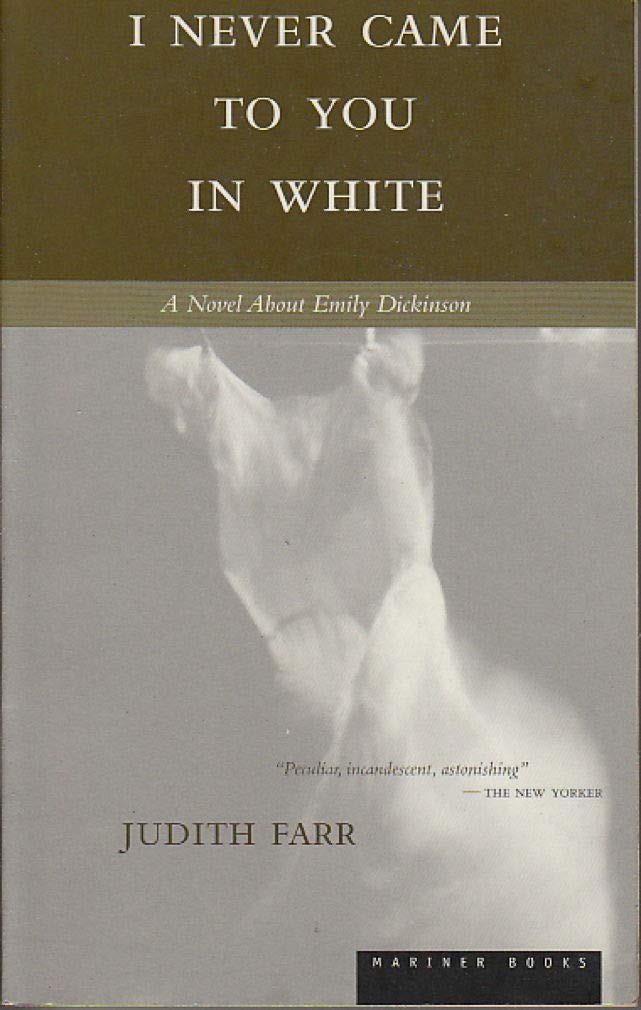 I Never Came to You in White book cover