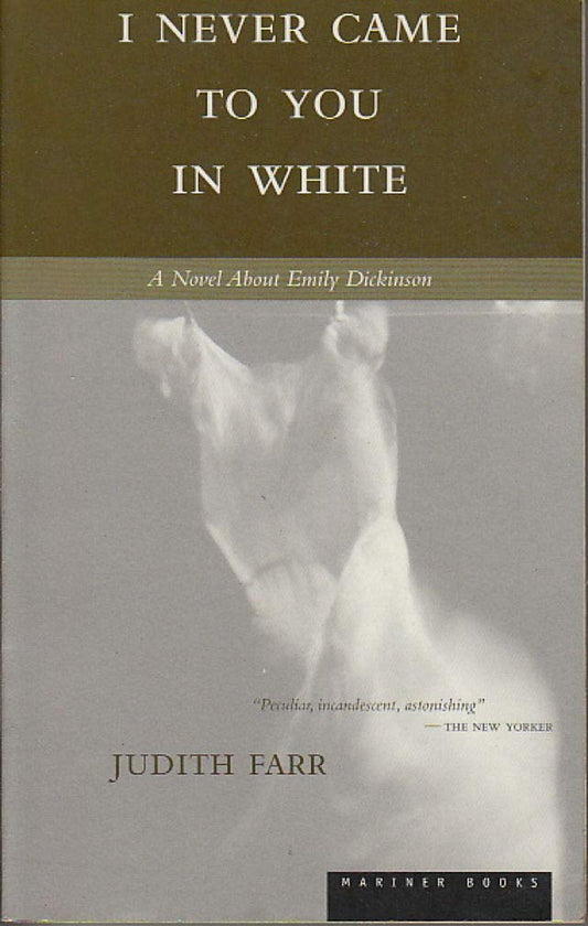 I Never Came to You in White book cover