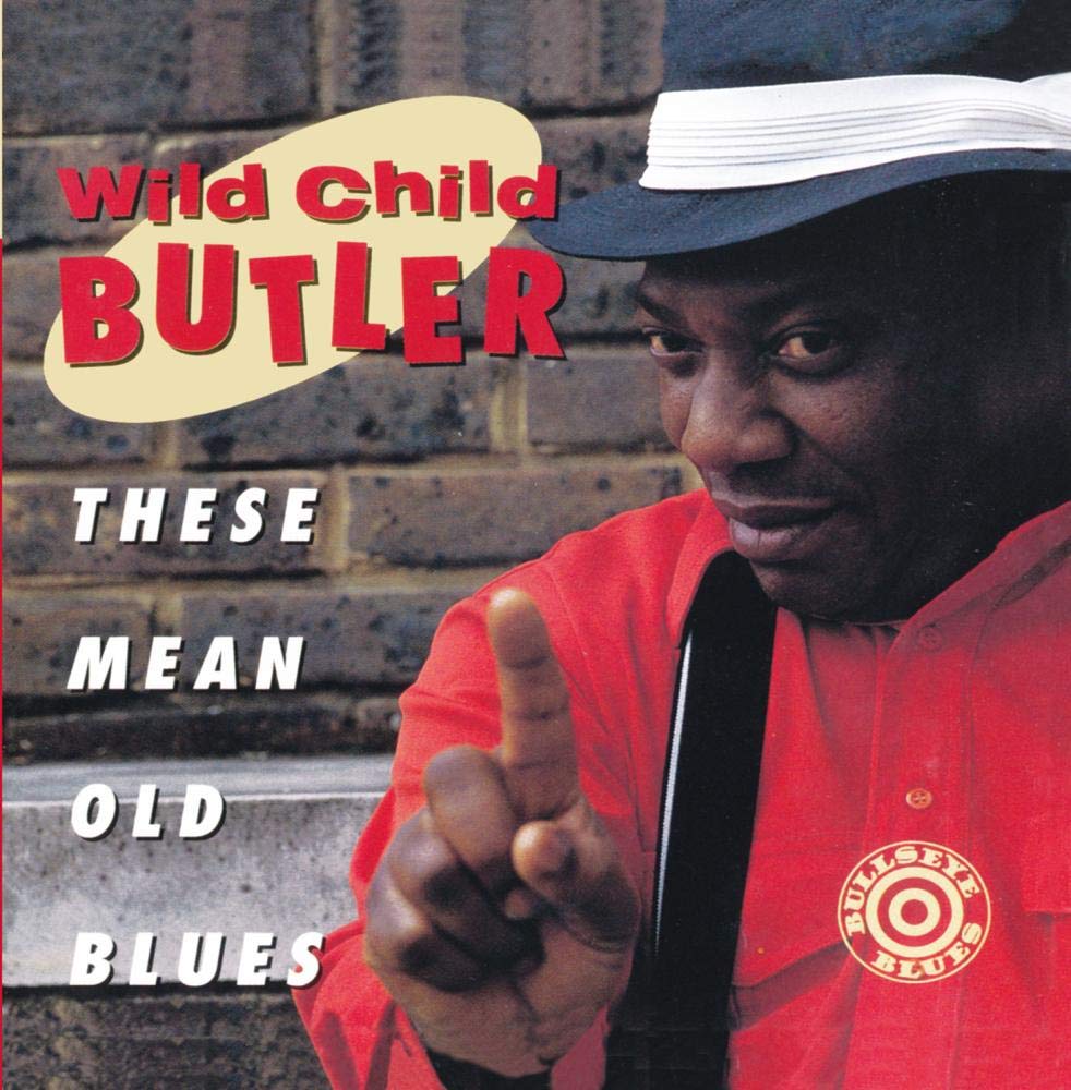 These Mean Old Blues book cover