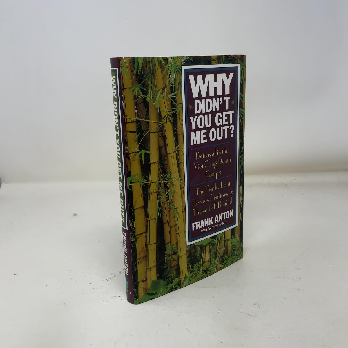 Why Didn't You Get Me Out? book cover