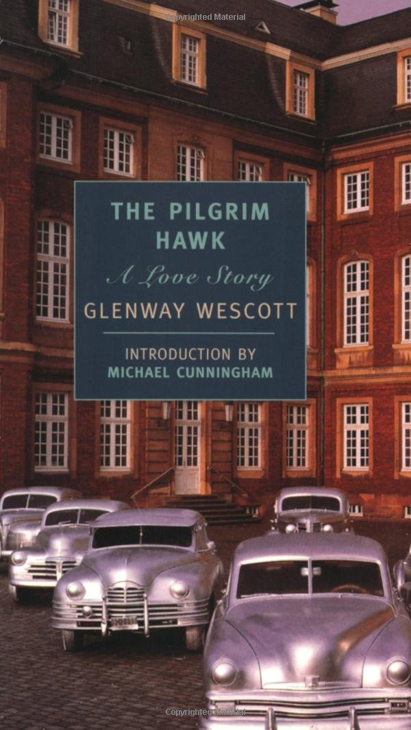 Pilgrim Hawk: A Love Story book cover