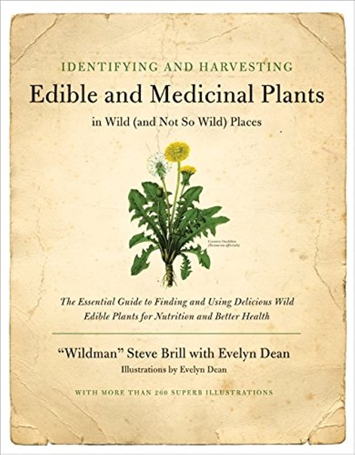 Identifying and Harvesting Edible and Medicinal Plants book cover