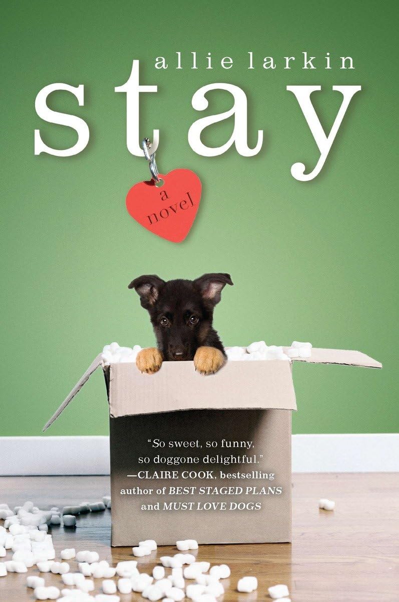 Stay book cover