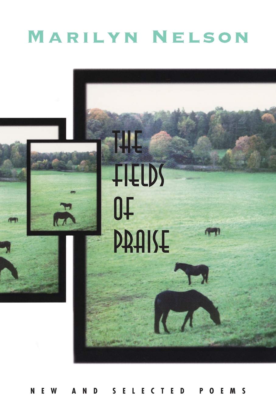 Fields of Praise: New and Selected Poems book cover
