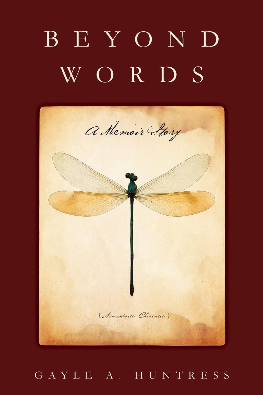Beyond Words: A Memoir Story book cover