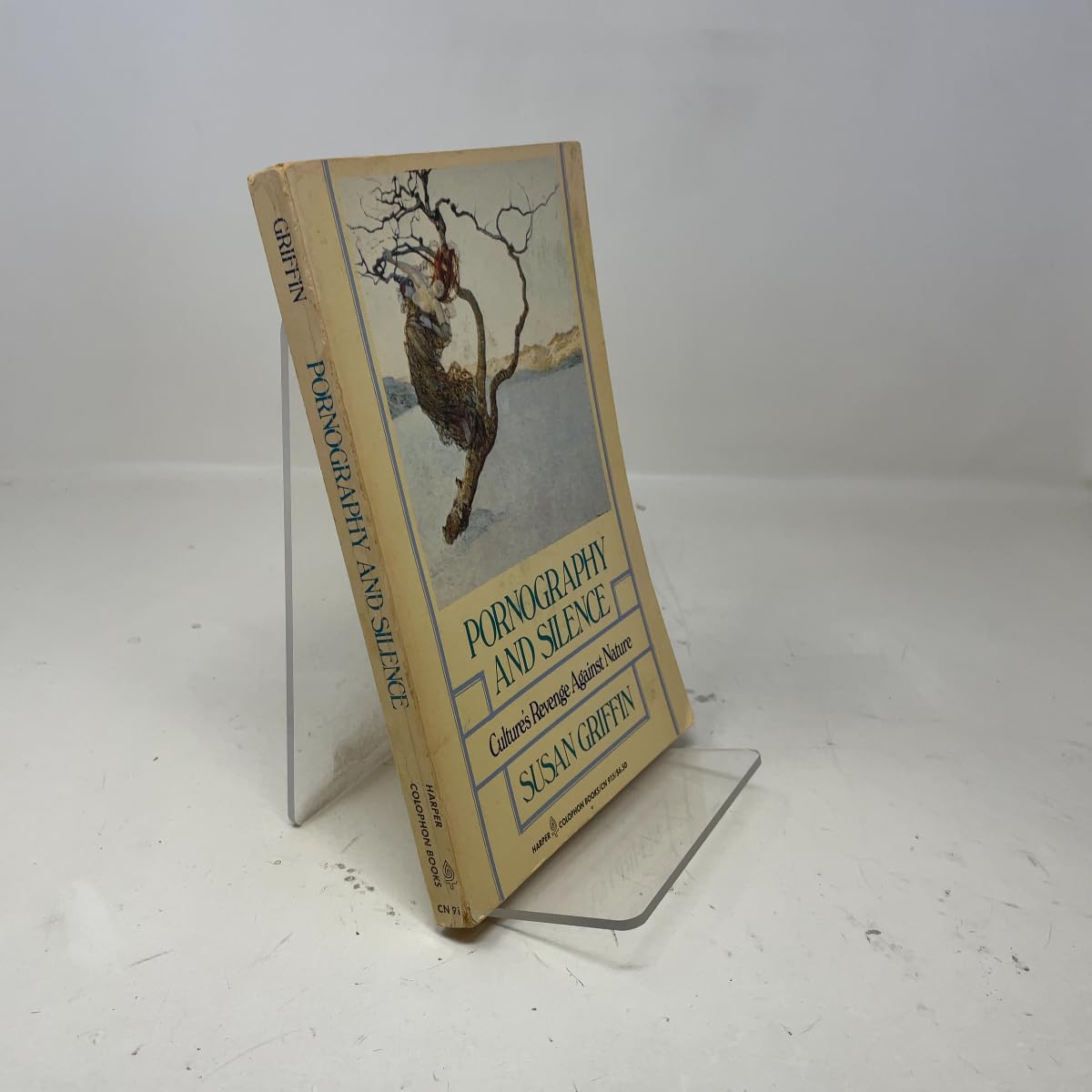 Pornography and Silence book cover