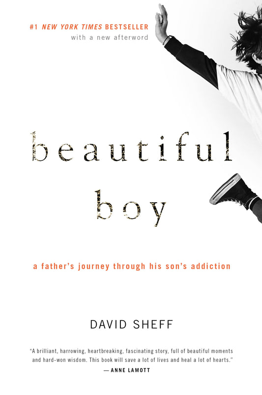 Beautiful Boy: A Father's Journey Through His Son's Addiction book cover
