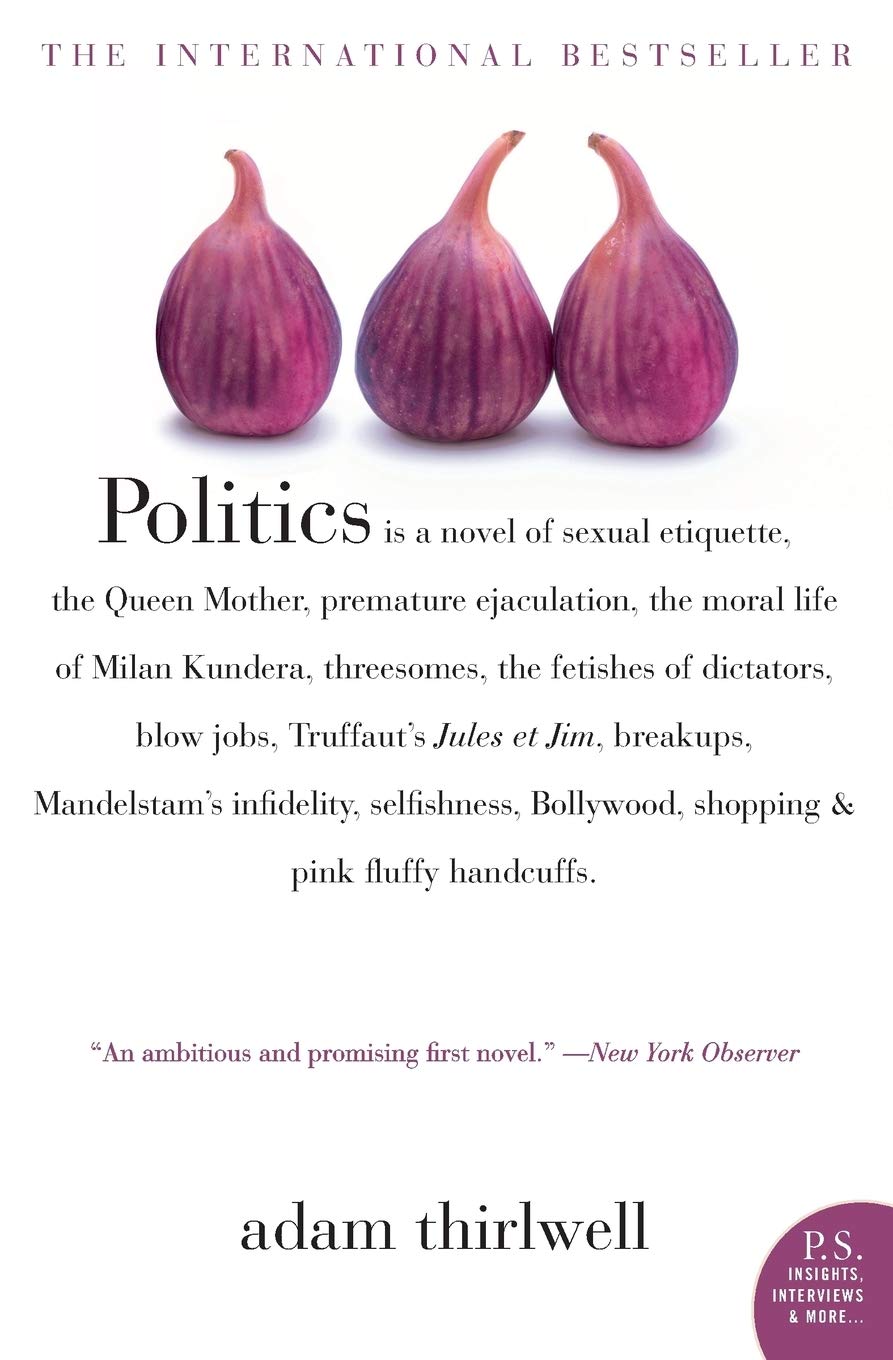 Politics book cover