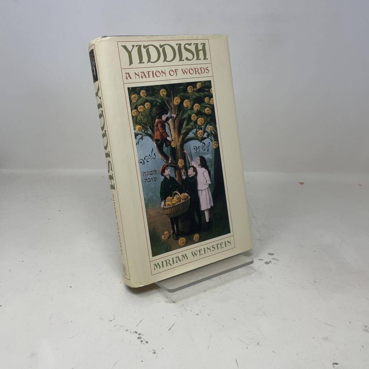 Yiddish: A Nation of Words book cover