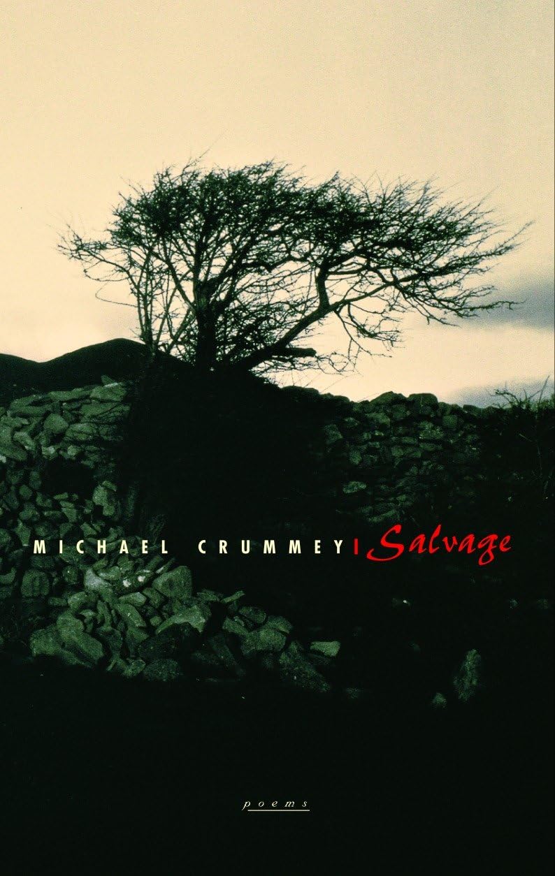 Salvage book cover