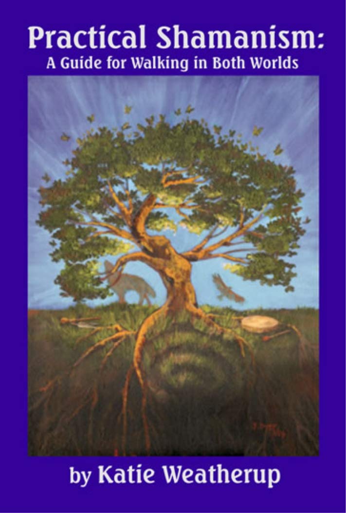 Practical Shamanism, a Guide for Walking in Both Worlds book cover