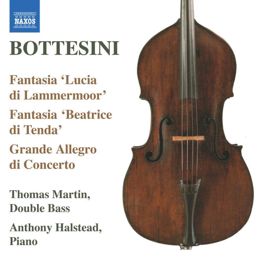 Fantasia Lucia Di Lammermoor Fantasia book cover