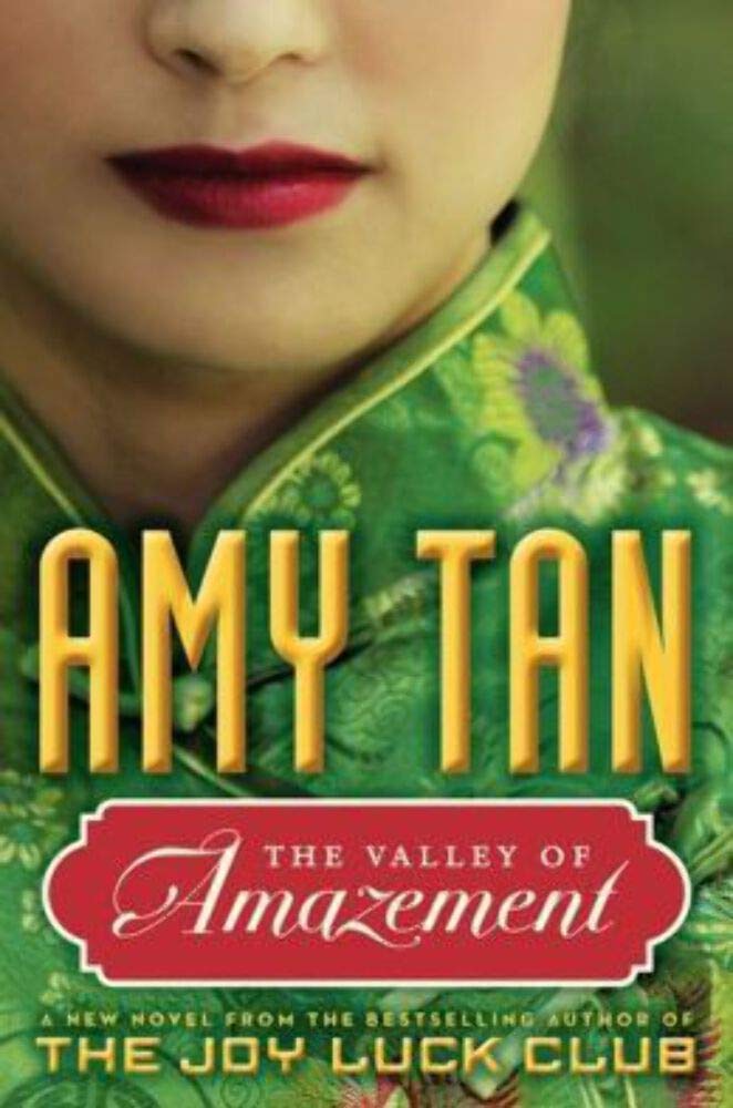 Valley of Amazement book cover