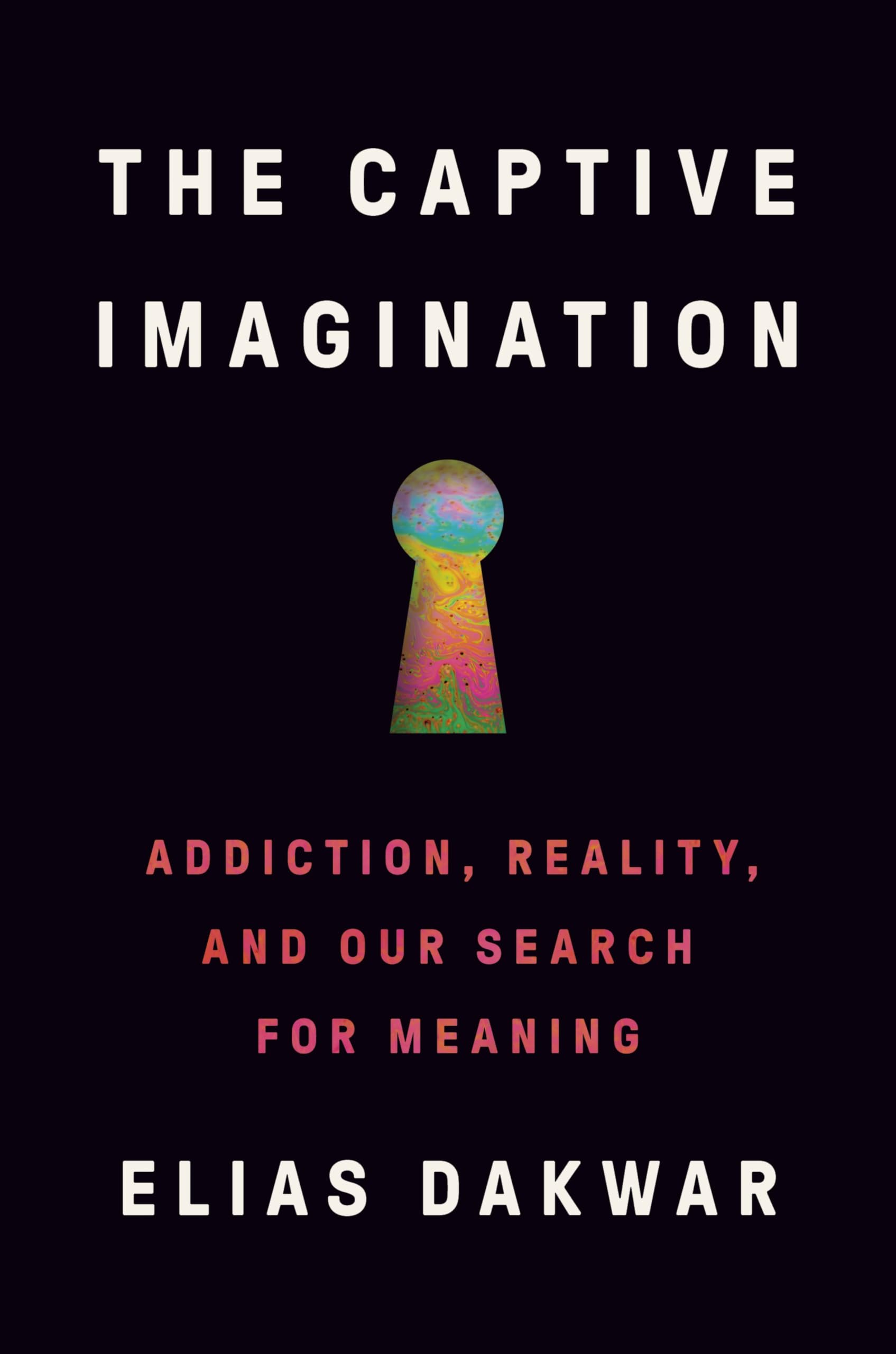 Captive Imagination: Addiction, Reality, and Our Search for Meaning book cover