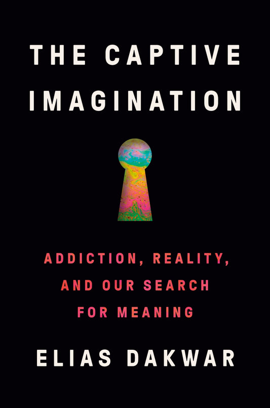 Captive Imagination: Addiction, Reality, and Our Search for Meaning book cover