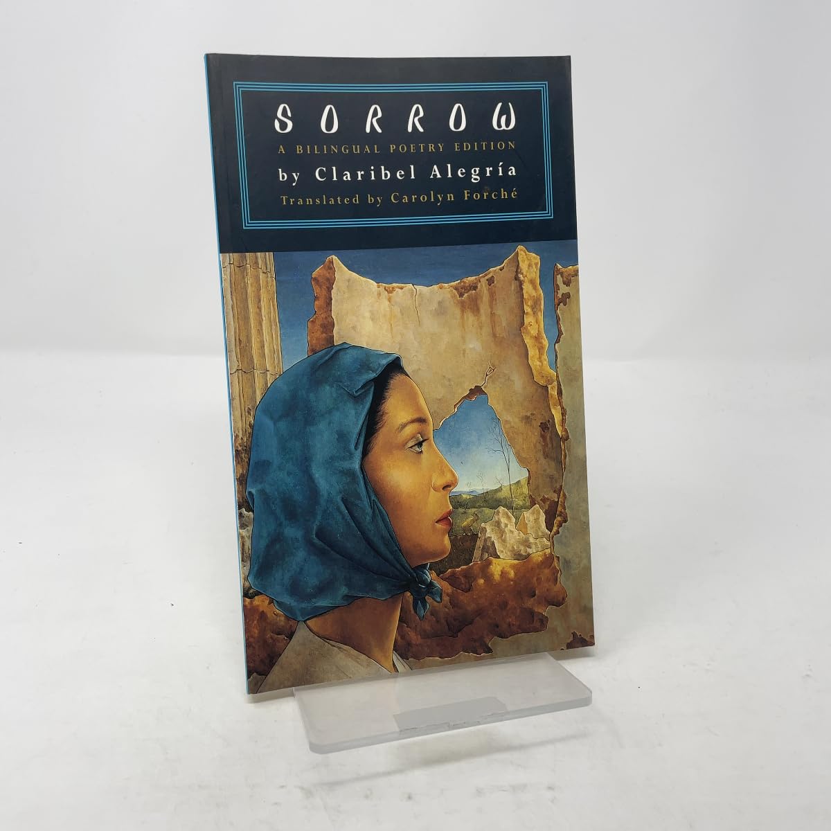 Sorrow book cover