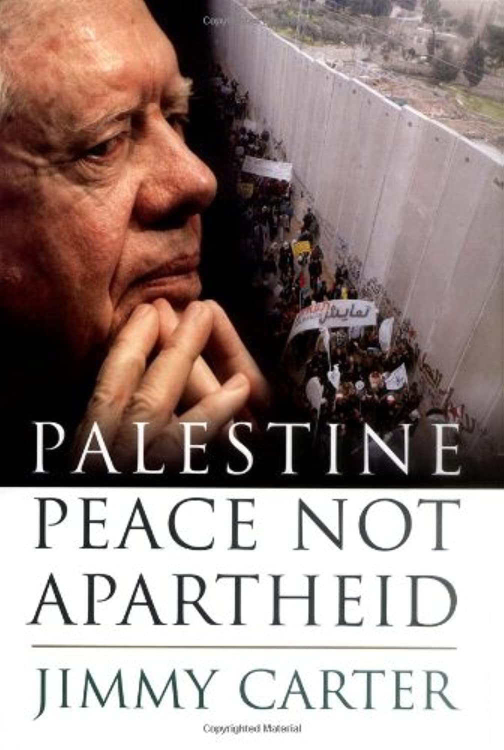 Palestine Peace Not Apartheid book cover