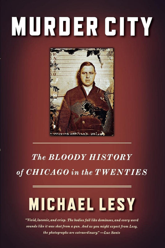 Murder City: The Bloody History of Chicago in the Twenties book cover