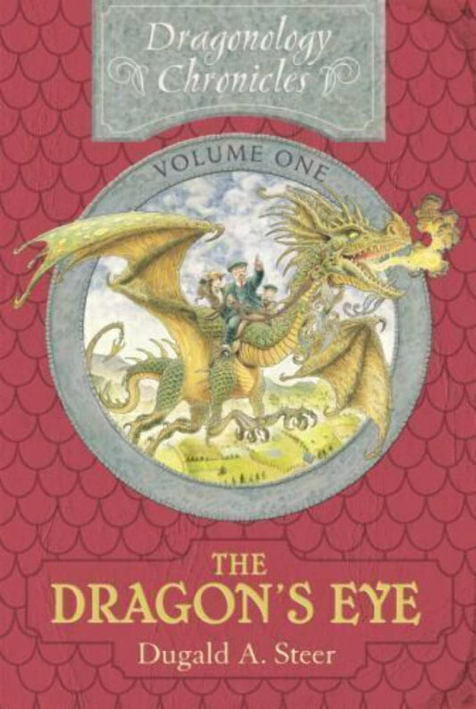 Dragon's Eye book cover