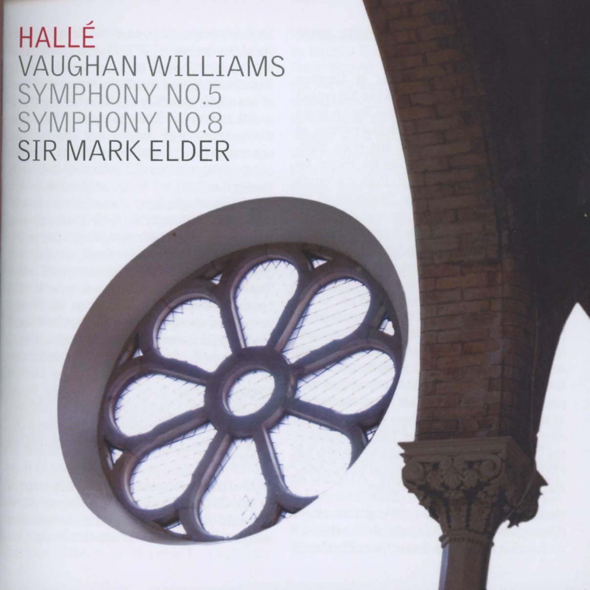 Symphonies 5 & 8 book cover