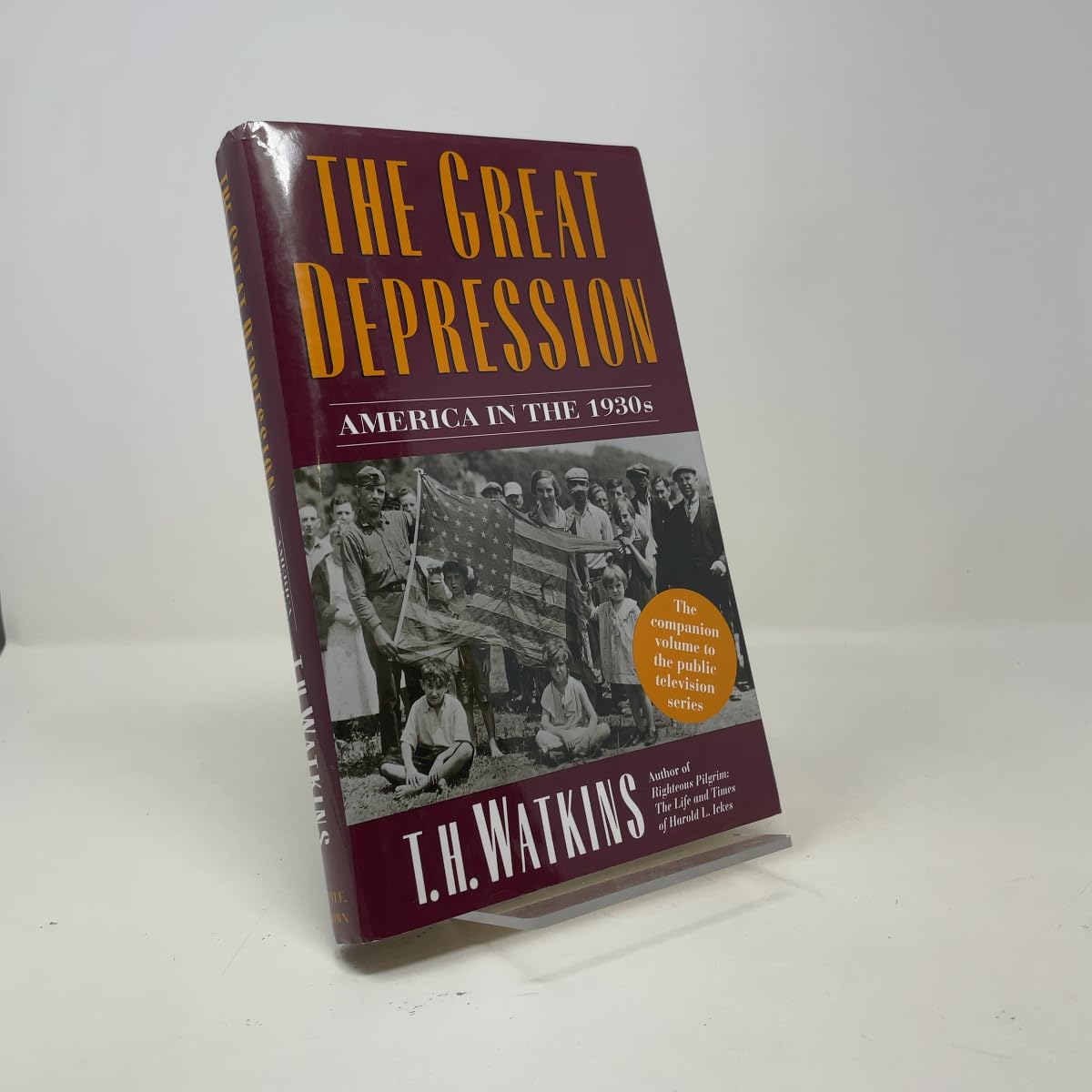 Great Depression: America in the 1930s book cover