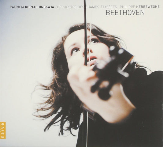 Beethoven book cover