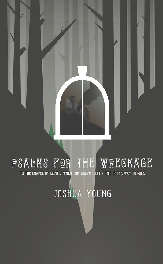 Psalms for the Wreckage book cover