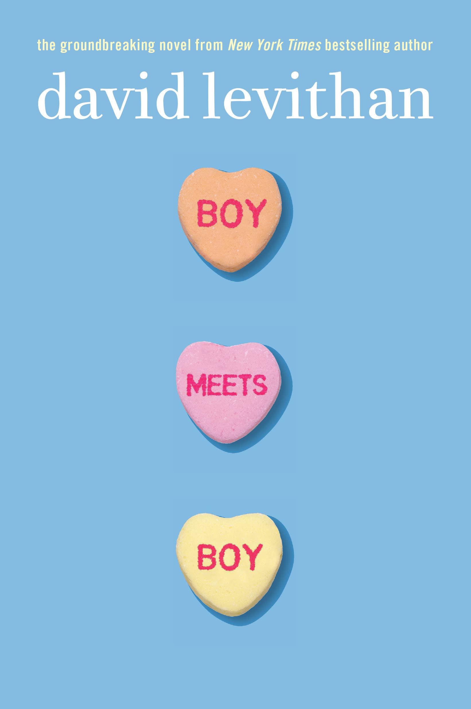 Boy Meets Boy book cover
