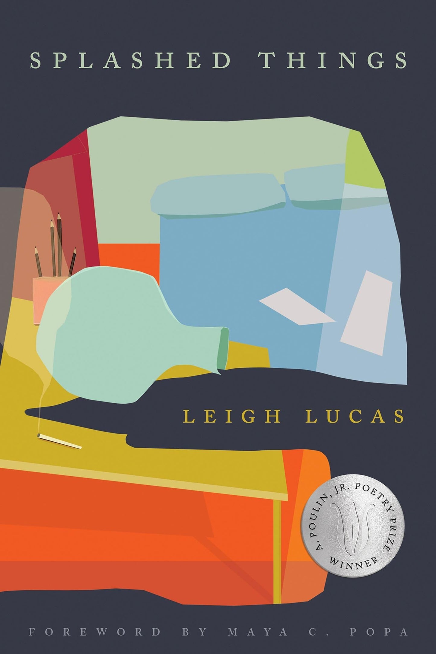 Splashed Things book cover