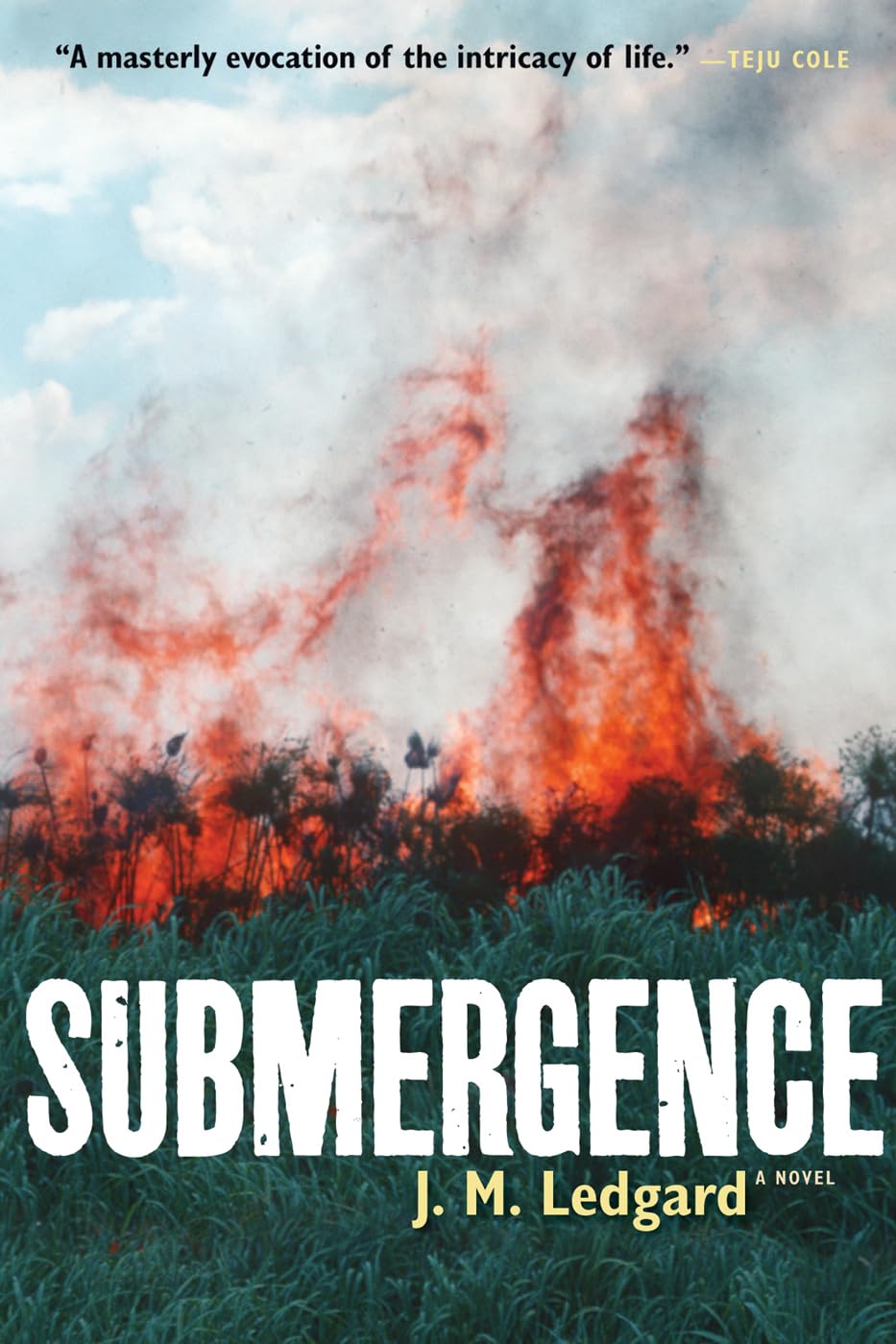 Submergence book cover