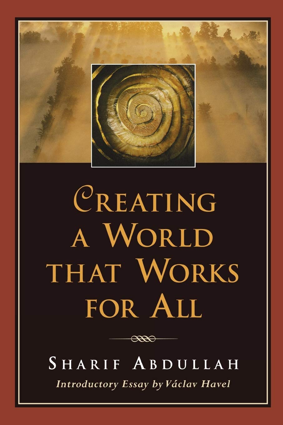 Creating a World That Works for All book cover