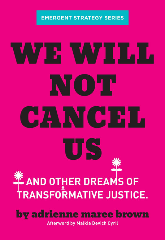 We Will Not Cancel Us book cover