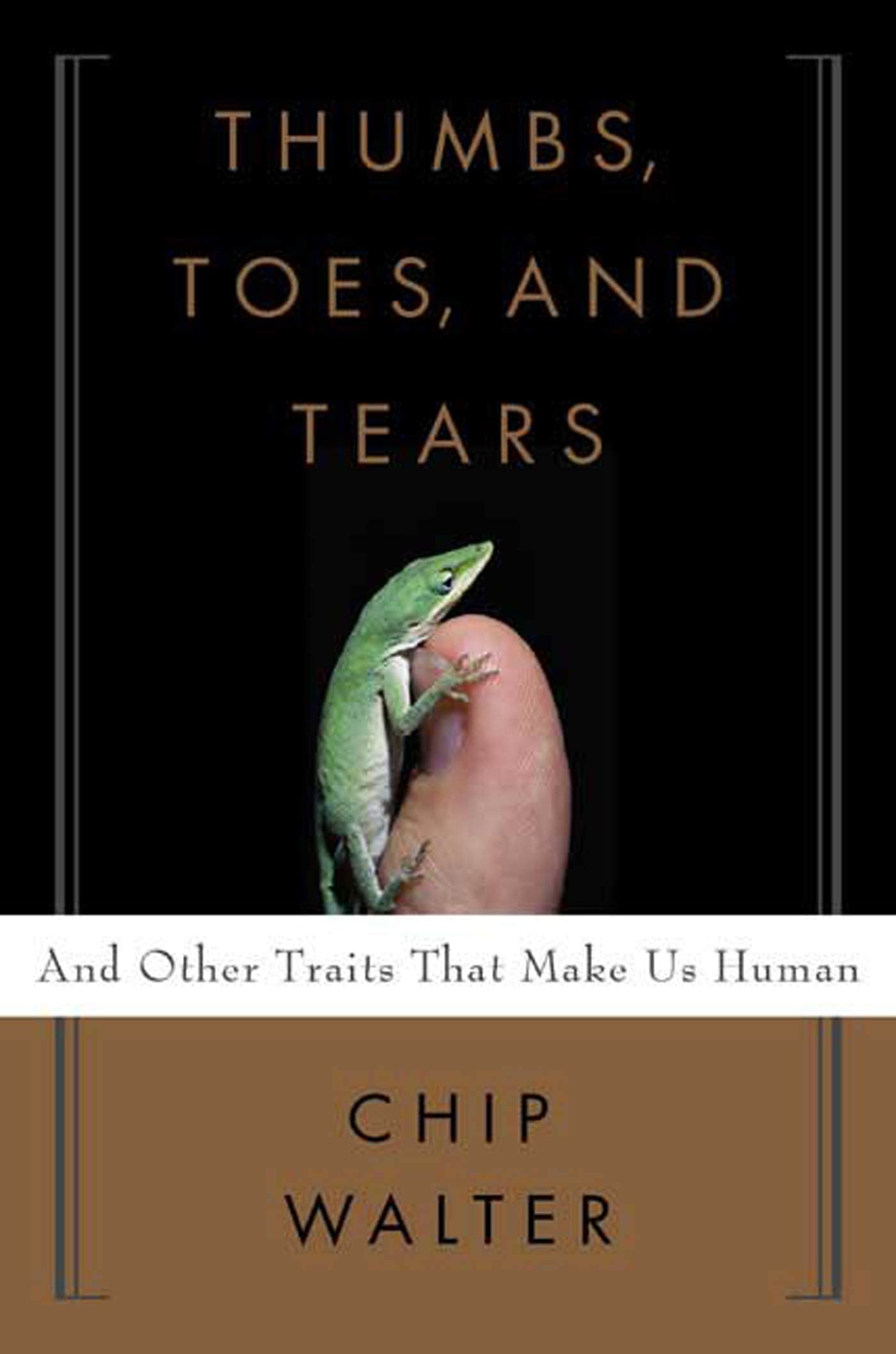 Thumbs, Toes, and Tears: And Other Traits That Make Us Human (Gorgias Press and Us) book cover