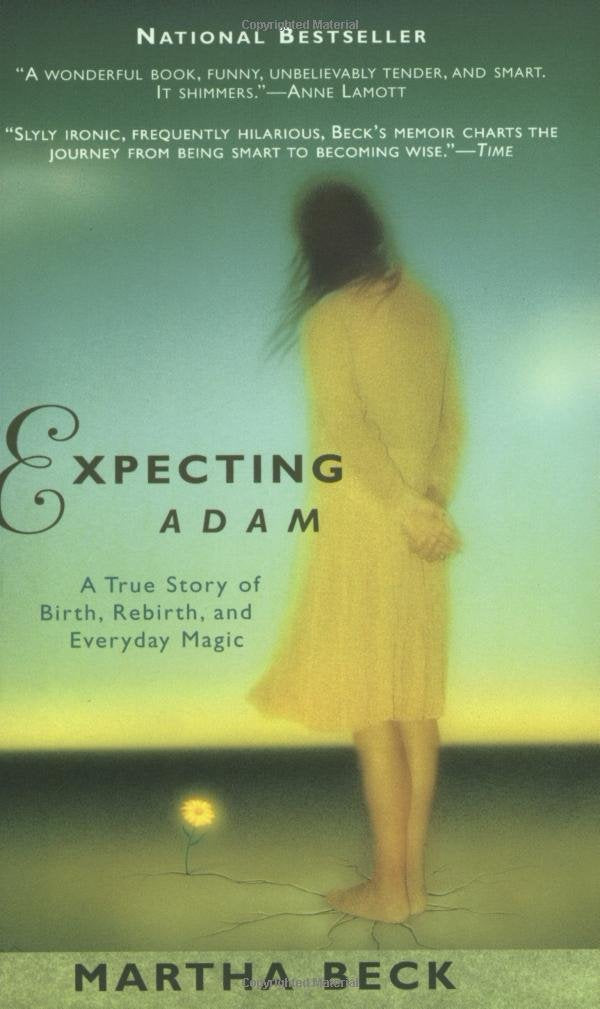 Expecting Adam: A True Story of Birth, Rebirth, and Everyday Magic book cover