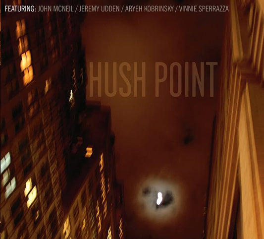 Hush Point book cover