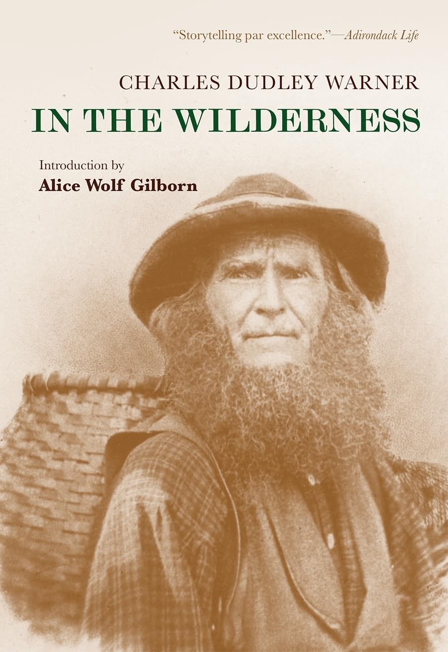 In the Wilderness (Adirondack Museum Books) book cover
