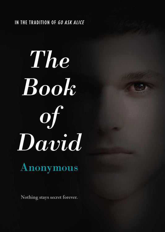Book of David book cover