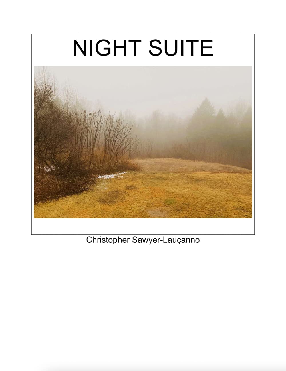 Night Suite book cover