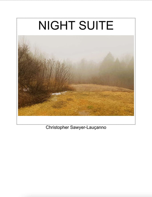 Night Suite book cover